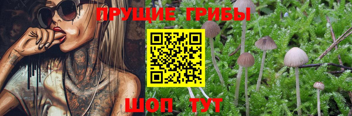 Новоуральск  Псилоцибиновые грибы MAGIC MUSHROOMS  Вход с VPN 